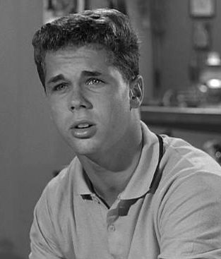 Tony Dow as Waly Cleaver